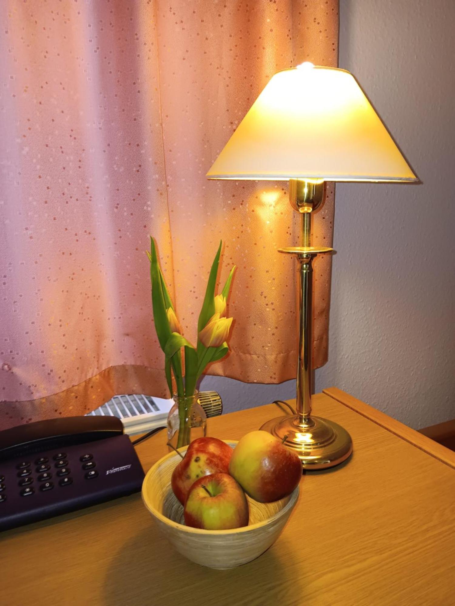 Hotel Burghof Oberweißbach المظهر الخارجي الصورة