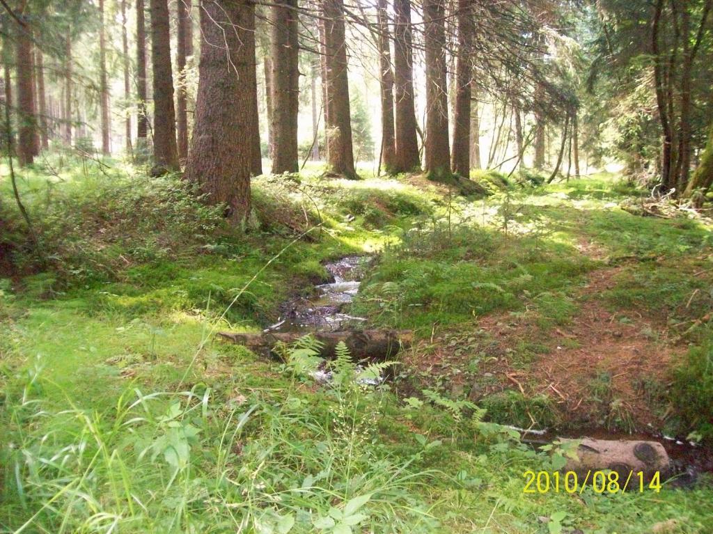 Hotel Burghof Oberweißbach الغرفة الصورة