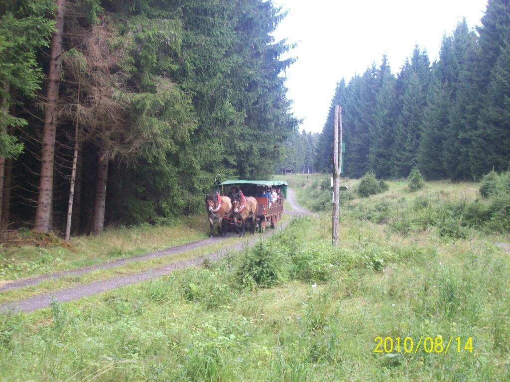 Hotel Burghof Oberweißbach الغرفة الصورة